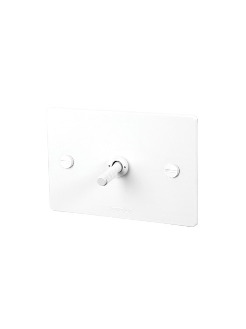 Buster and Punch 1G Switch White