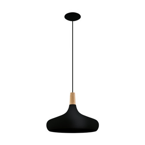Black metal pendant with ash wood trim Black metal pendant with ash wood trim
