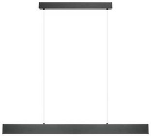 Black 1800 linear pendant