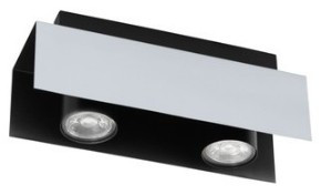 Two light spotlight with black trim