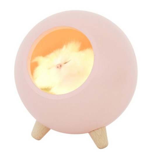 Pink table lamp with snoozing kitten