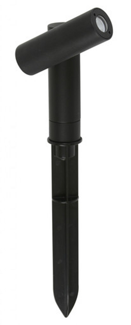 Black garden spike Black garden spike
