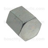 NPT -12 CAP