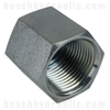 -20 NPT CAP