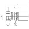 B2 SERIES: Hose -04 X ORFS F -08