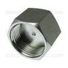 ORFS -10 CAP