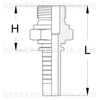 -08 BSP FLAT FACE MALE X -08 HOSE X SERIES