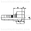 -08 BSP FEMALE X -06 HOSE X SERIES