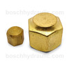 BRASS SAE 45 -06 CAP