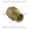 Brass NPT M -04 X NPT F -04