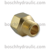 Brass NPT M -06 X NPT F -08