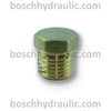 Brass Hex Head Plug -04 NPT
