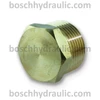 Brass Hex Head Plug -12 NPT