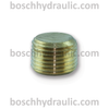 Brass Counter Sink Plug -08 NPT