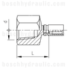 -04 NPT FEMALE FIXED X PRESSURE TEST HOSE END