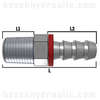 -12 BSPT MALE X -12 HOSE PUSH ON BRASS
