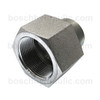 NPT M -16 X NPT F -20