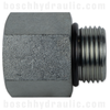 -10 ORB MALE X -06 NPT FEMALE