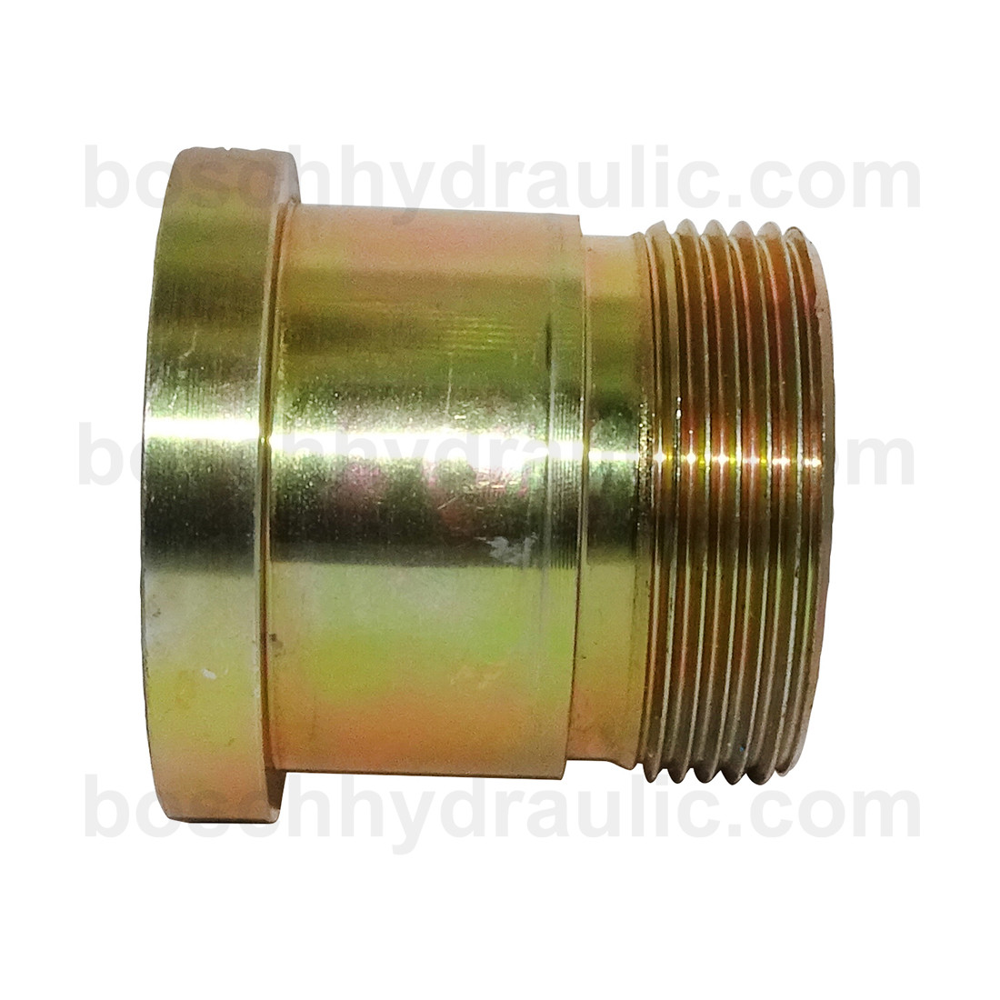 CODE 61 MALE -20 X ORFS MALE -20