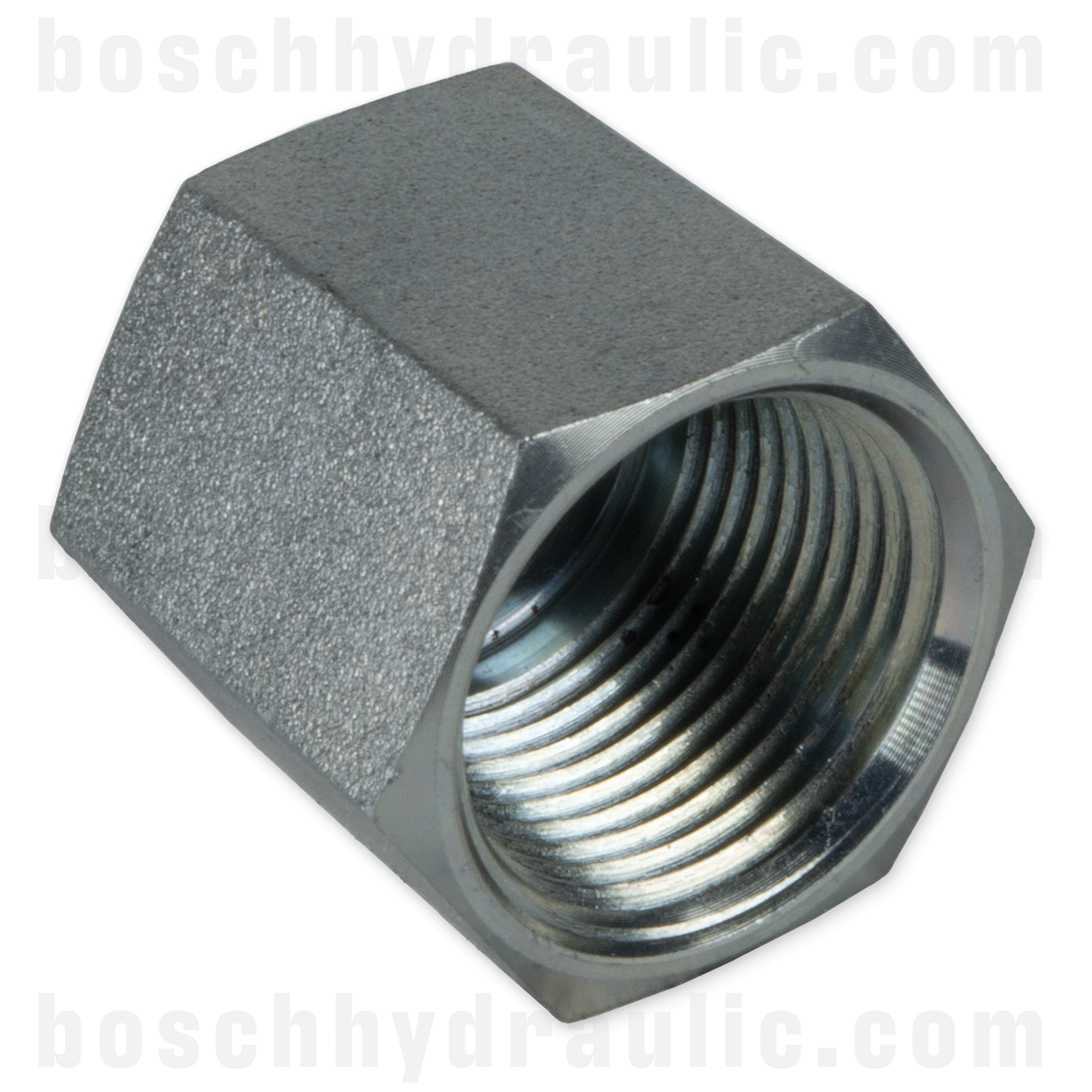 -06 NPT CAP