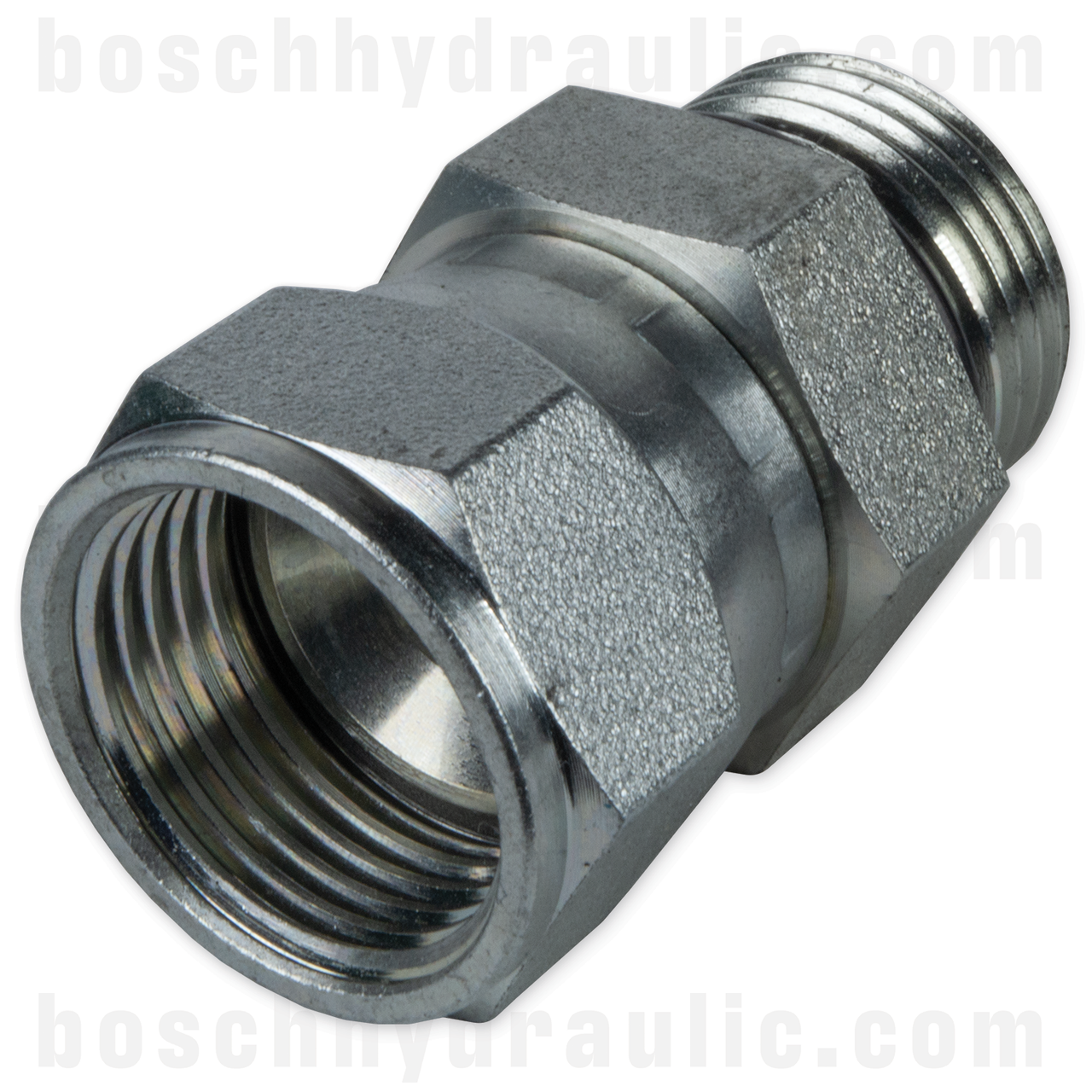-10 ORB MALE X -10 JIC FEMALE