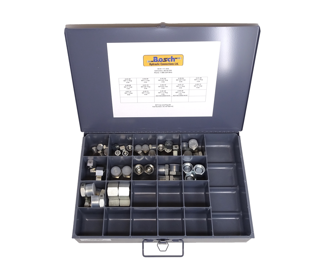 BSP PLUG AND CAP KIT