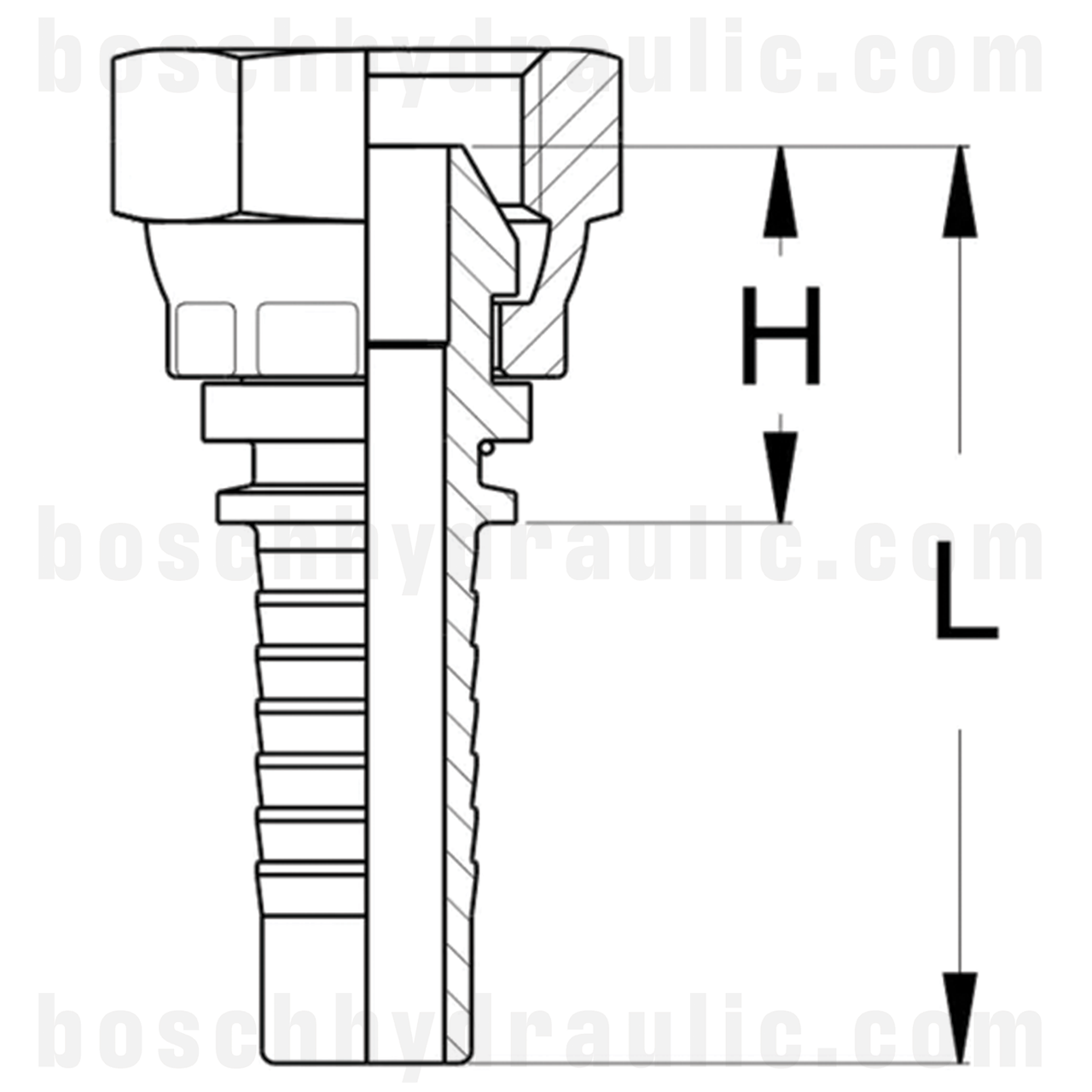 -12 BSP FEMALE X -12 HOSE X SERIES
