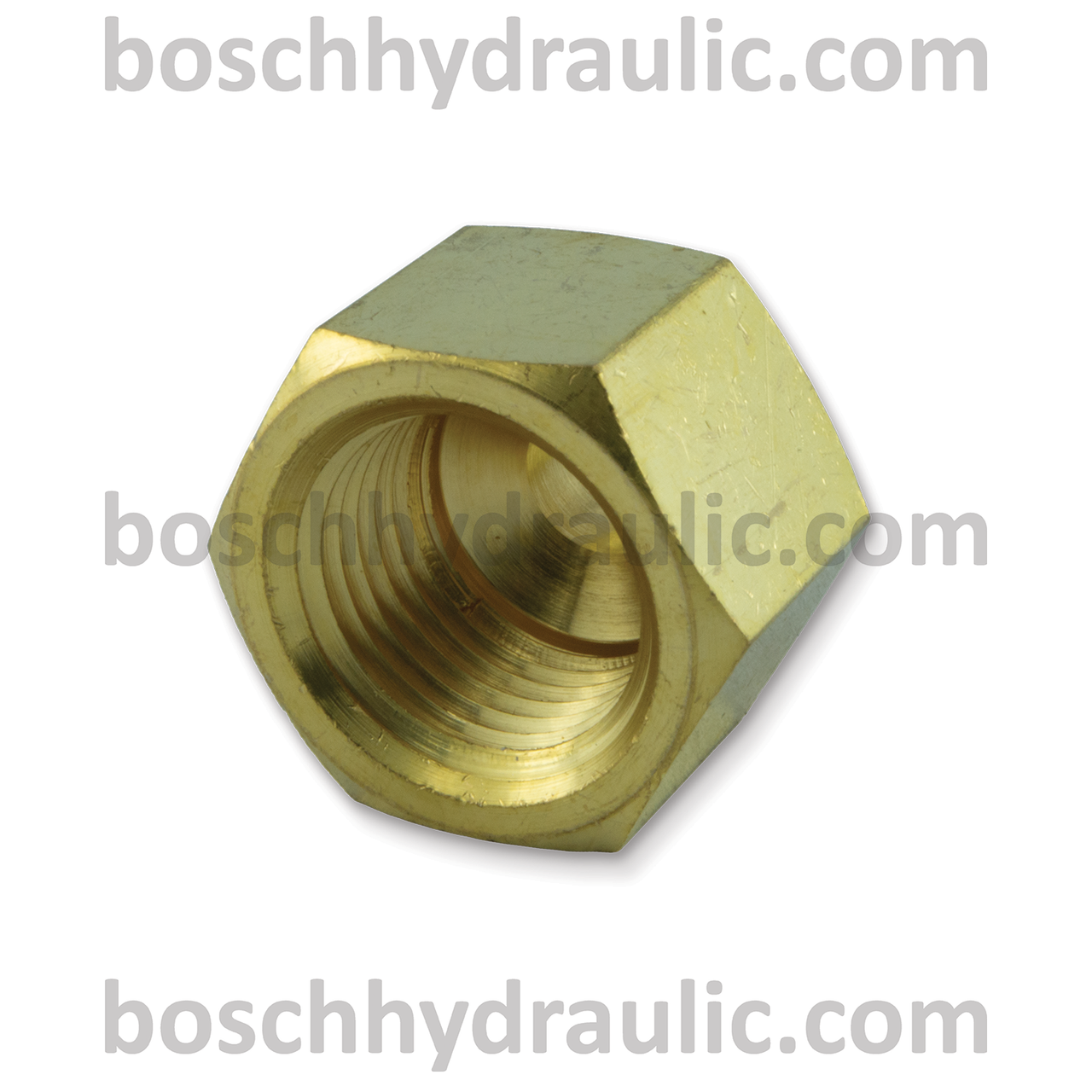 Brass NPT M -04 X NPT F -08