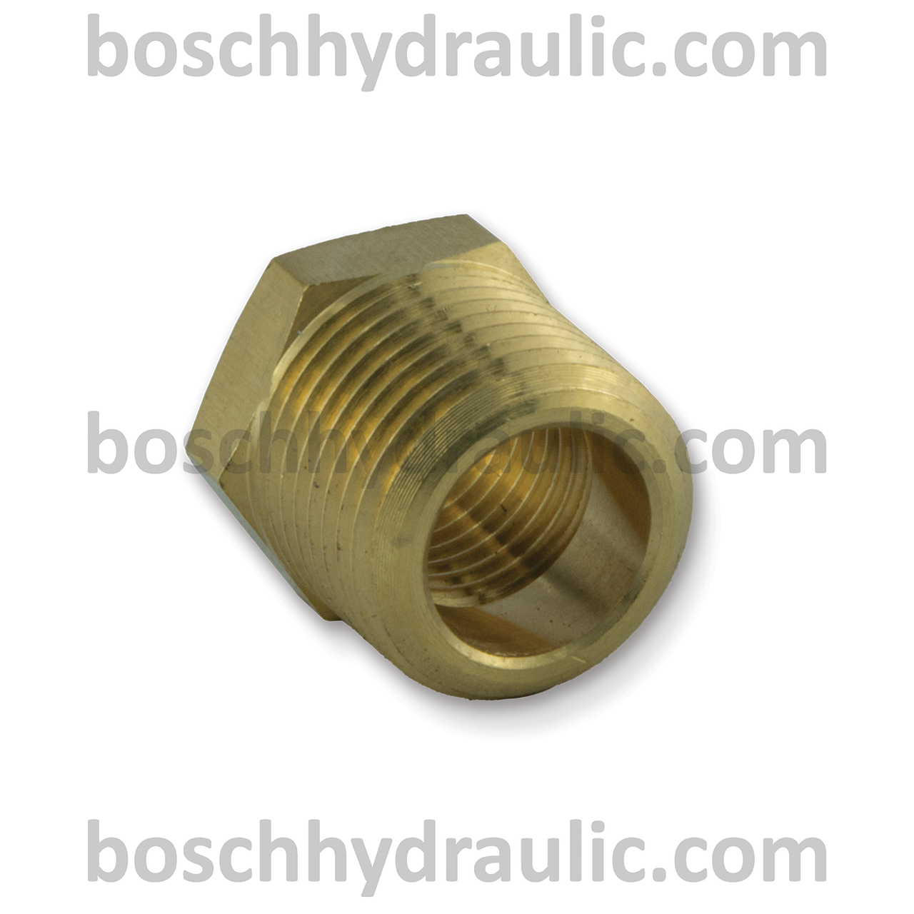 Brass NPT M -06 X NPT F -04