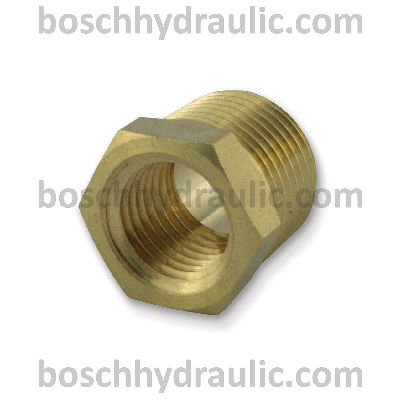 Brass NPT M -06 X NPT F -04