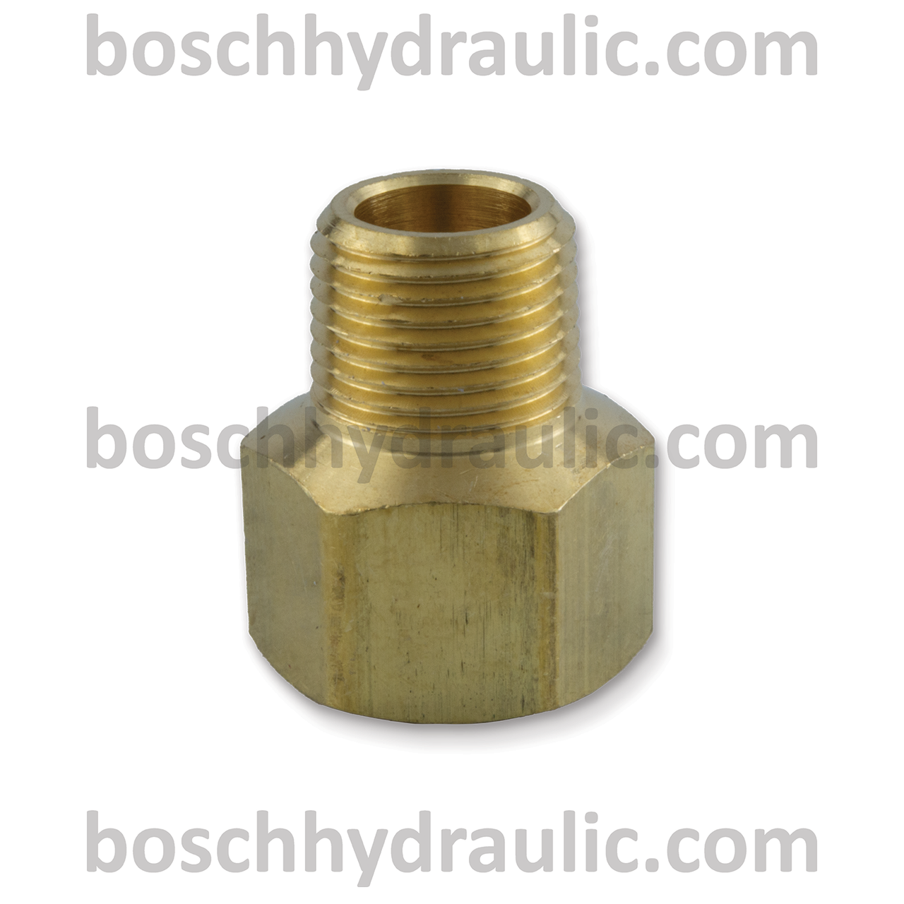 Brass NPT M -06 X NPT F -08