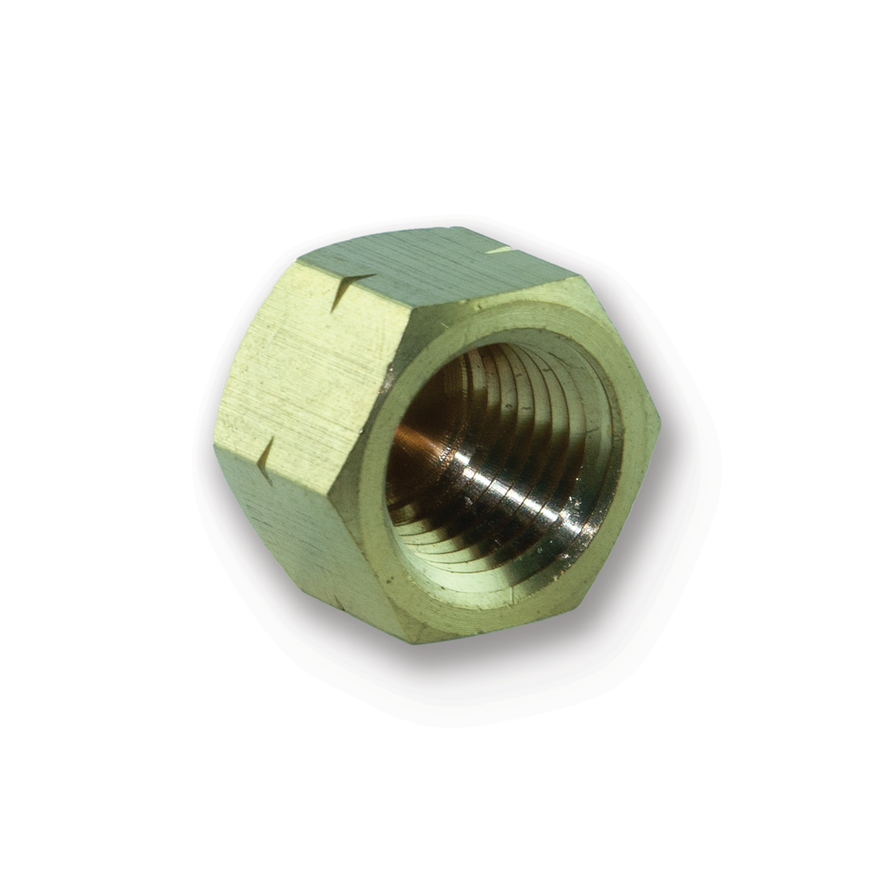 Brass NPT -04 Cap