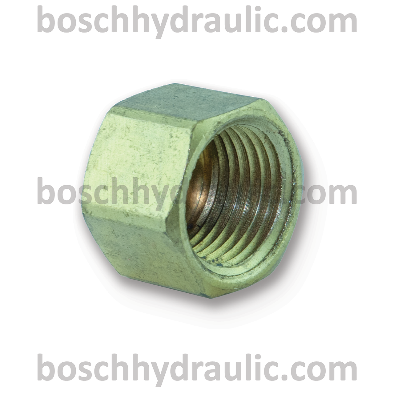 Brass NPT -12 Cap