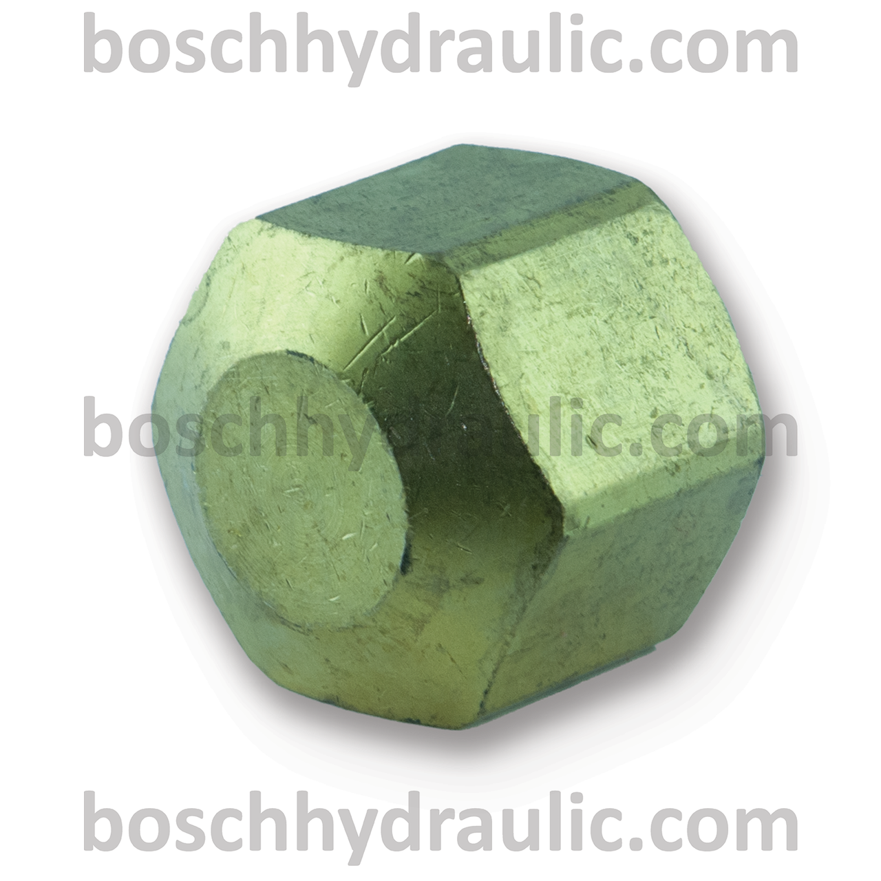 Brass NPT -12 Cap