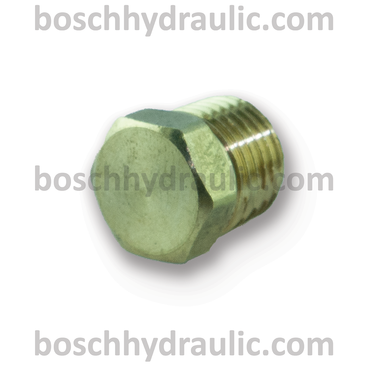 Brass Hex Head Plug -04 NPT