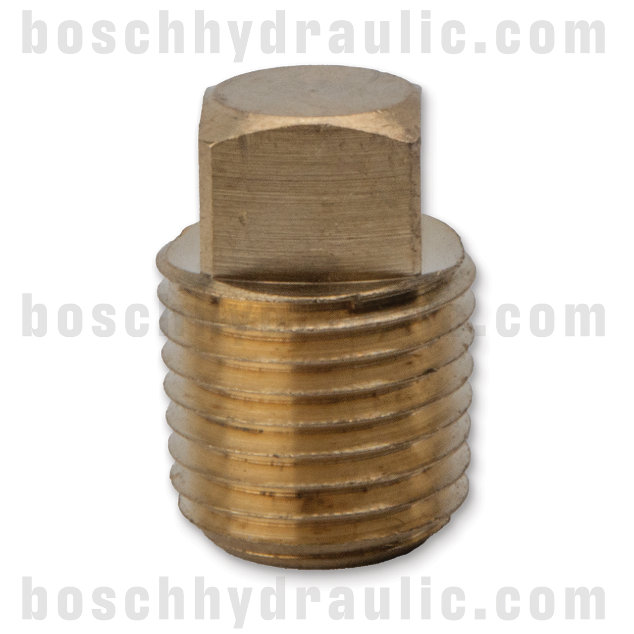 BRASS SQUARE HEAD PLUG -04 NPT