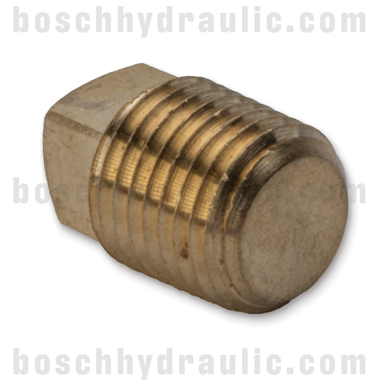 BRASS SQUARE HEAD PLUG -04 NPT