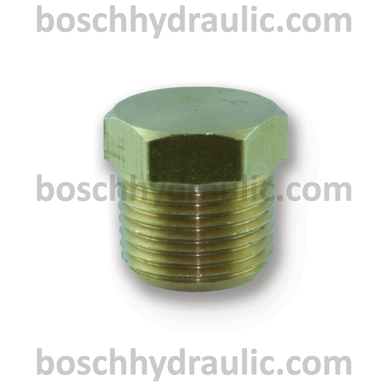 Brass Hex Head Plug -06 NPT