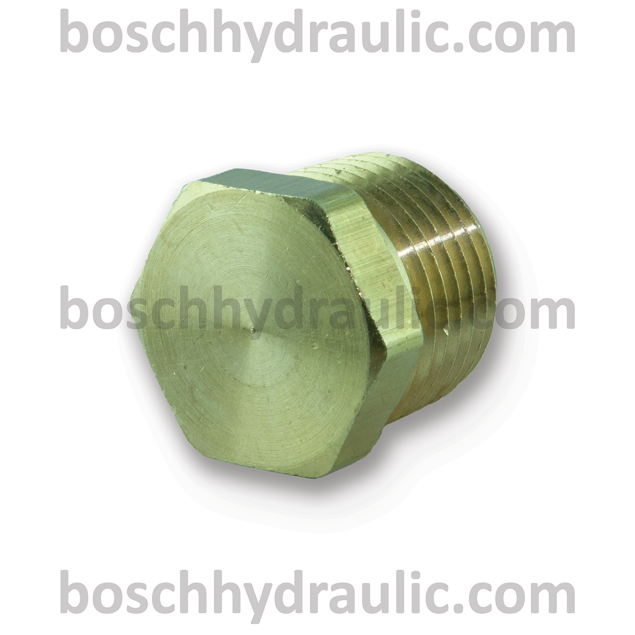Brass Hex Head Plug -08 NPT