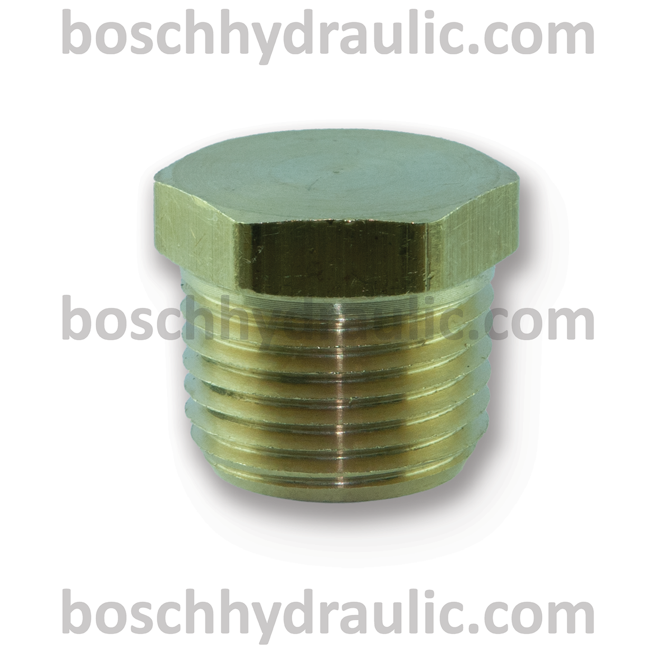 Brass Hex Head Plug -08 NPT