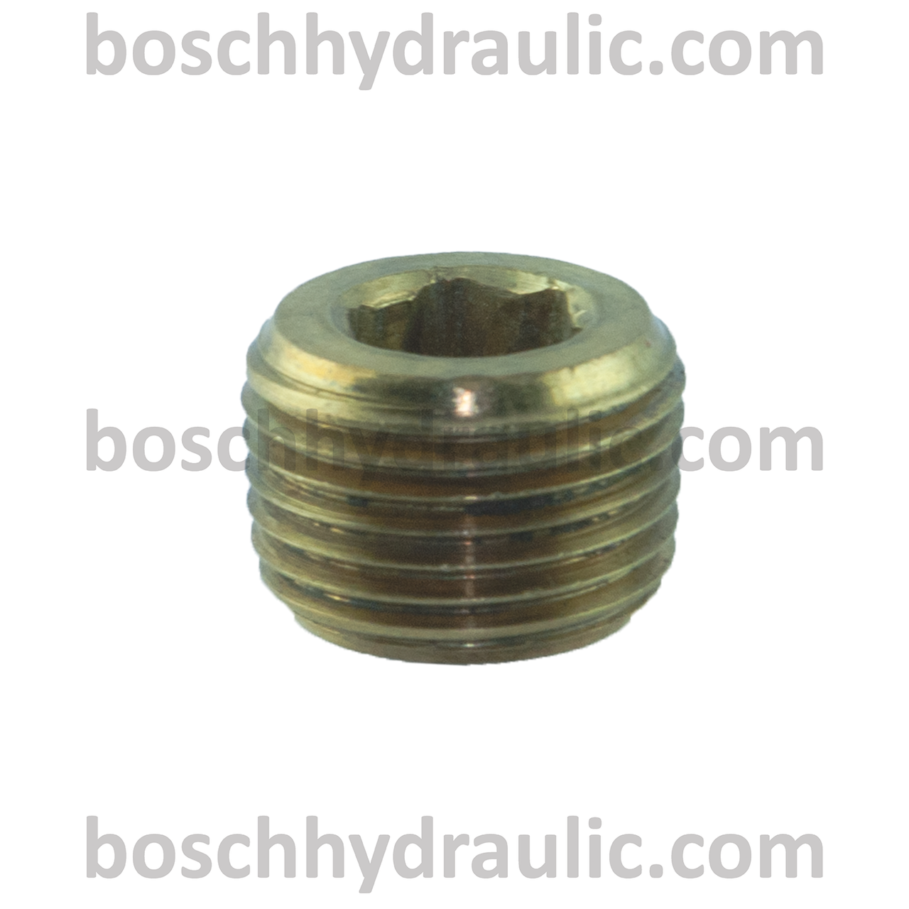 Brass Counter Sink Plug -02 NPT