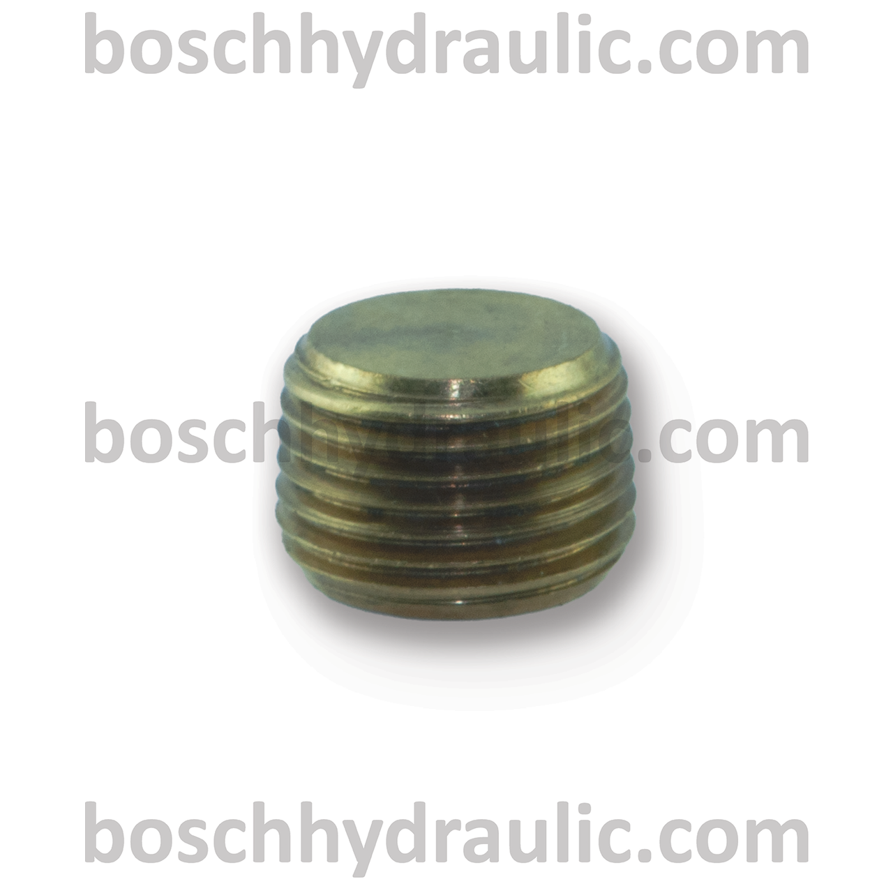 Brass Counter Sink Plug -04 NPT