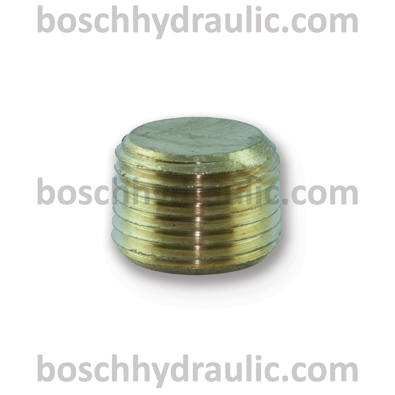 Brass Counter Sink Plug -12 NPT