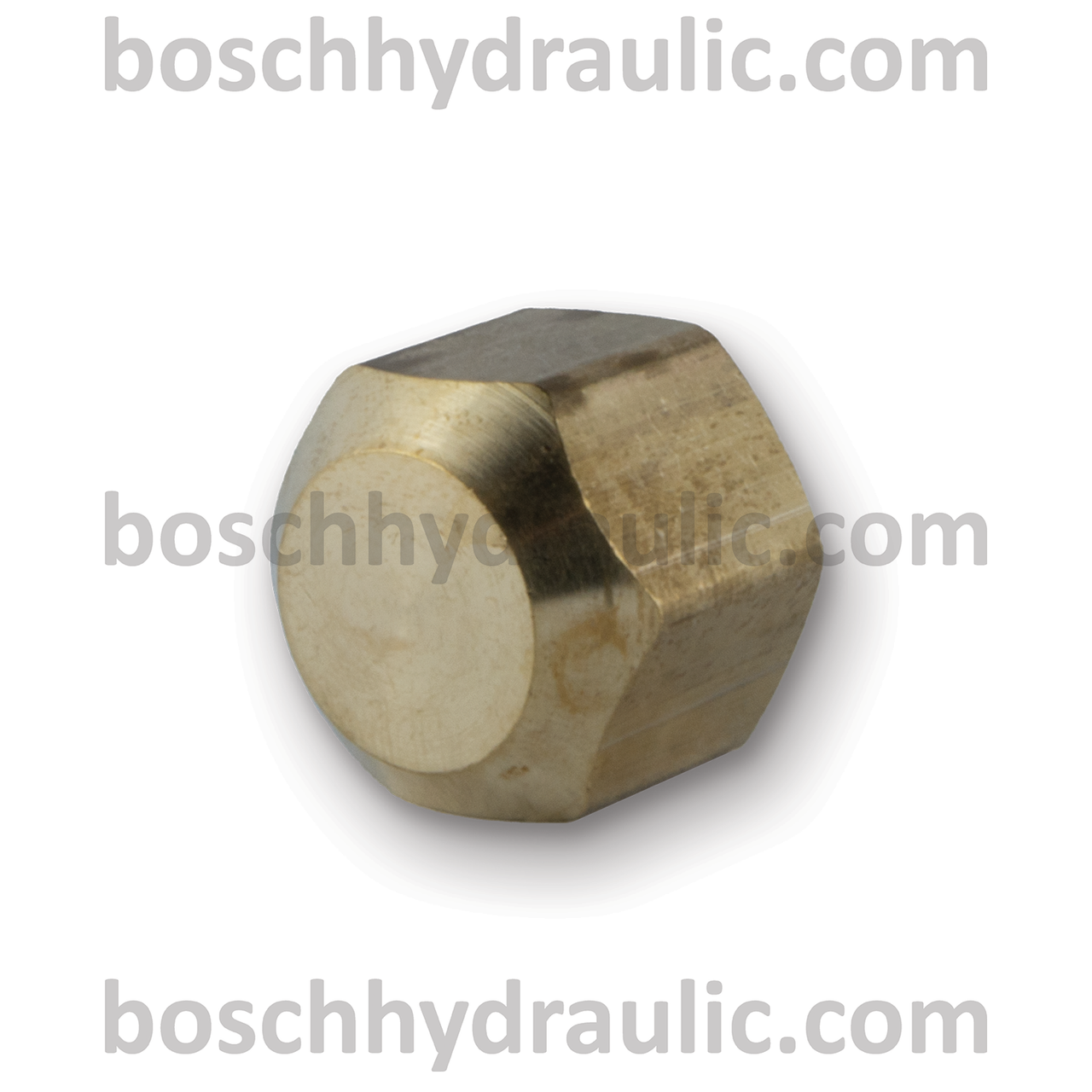BRASS SAE 45 -08 CAP