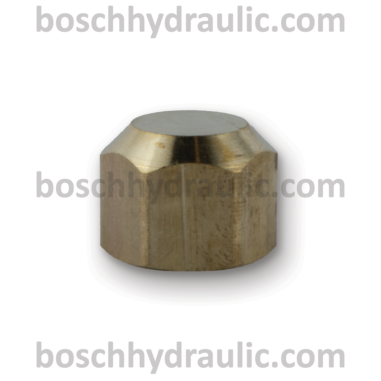 BRASS SAE 45 -08 CAP
