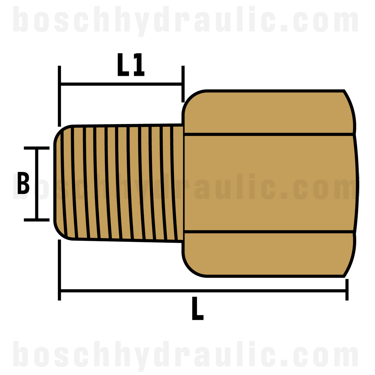 BRASS BSPT F -06 X NPT M -06