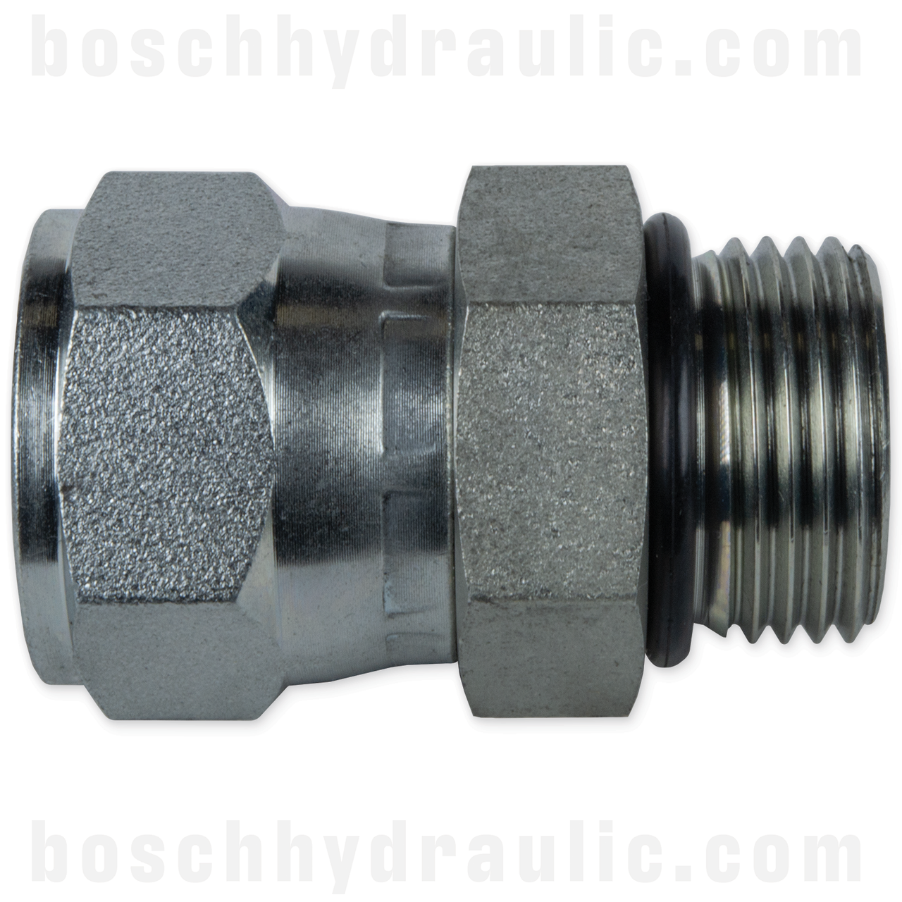 -06 ORB MALE X -04 JIC FEMALE
