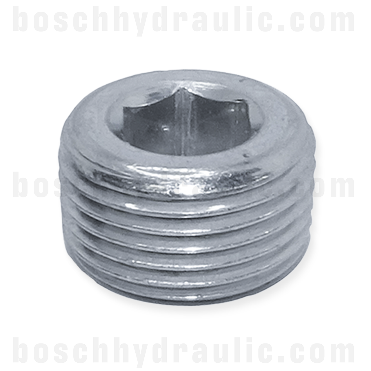 -04 BSPT ALLEN PLUG