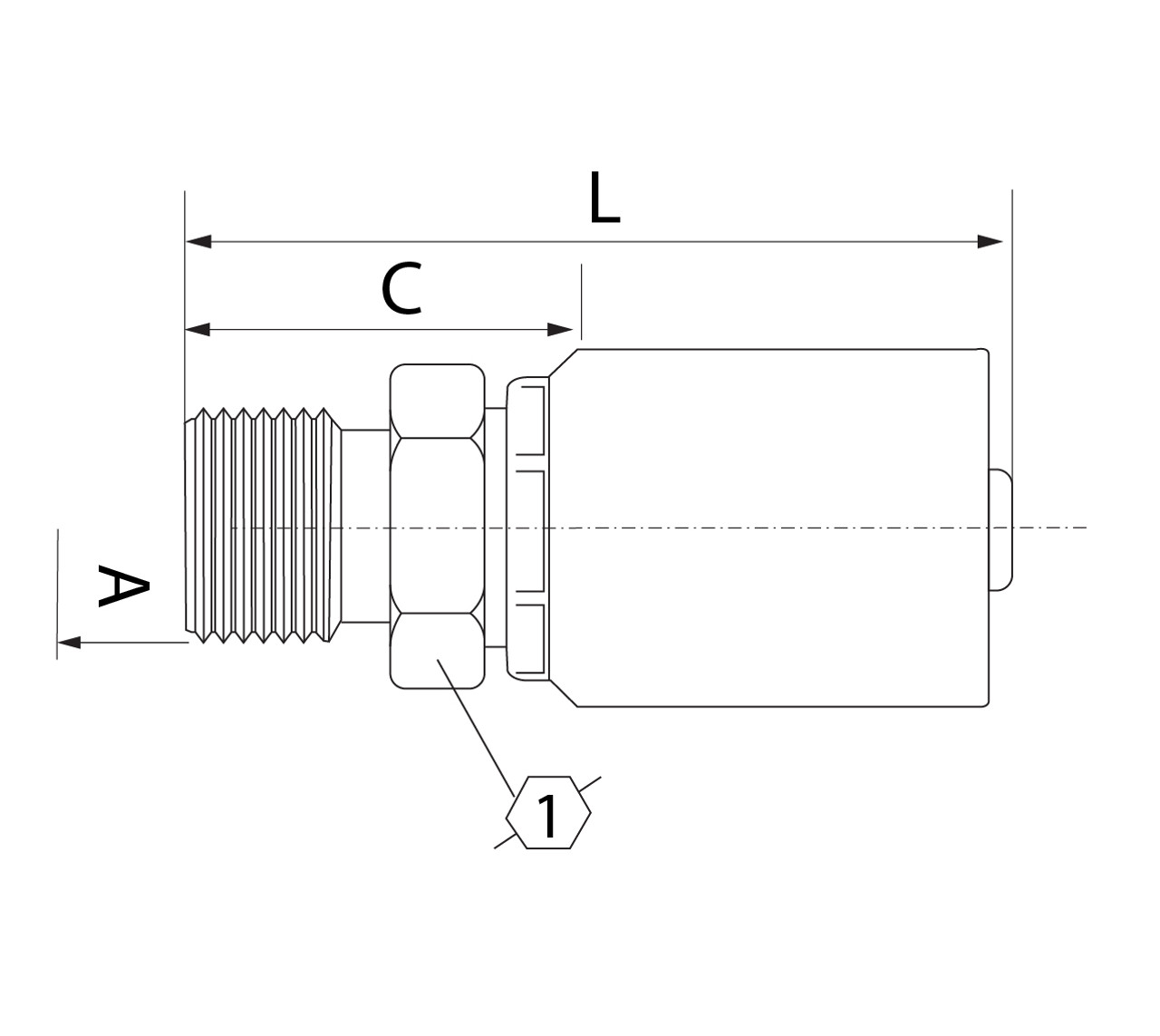 SG SERIES: Hose -12 X BSP M -12