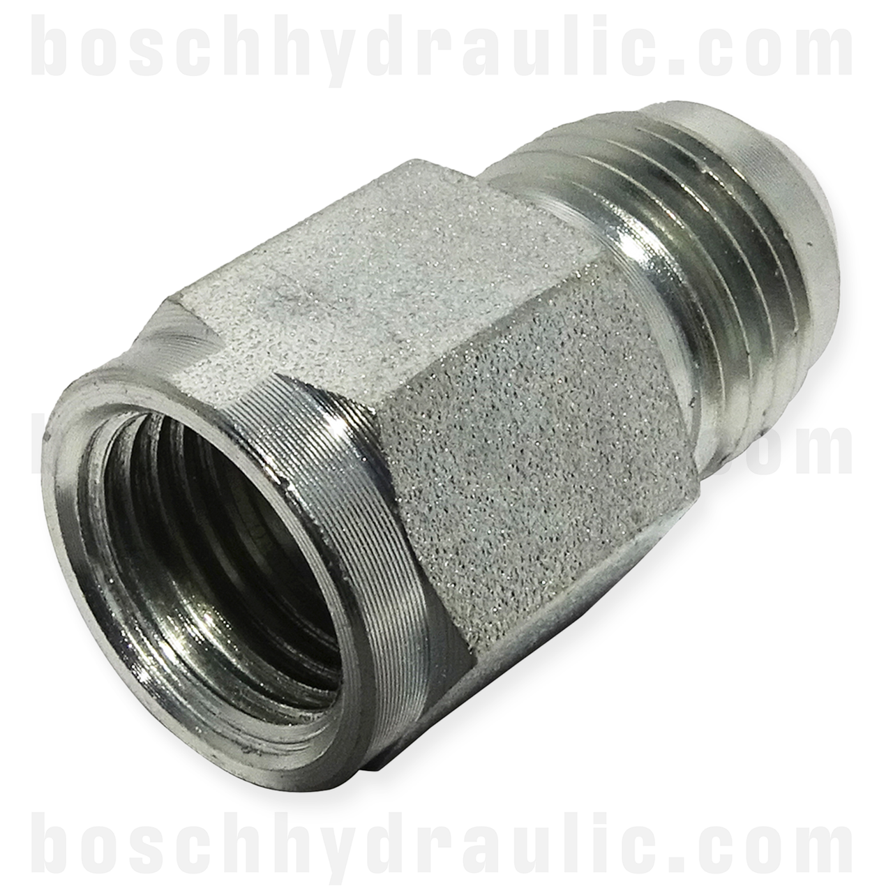 -03 JIC MALE X -04 JIC FEMALE